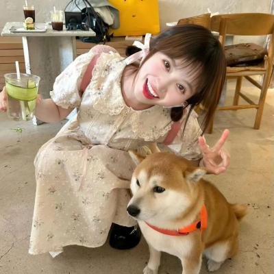 长毛检察官