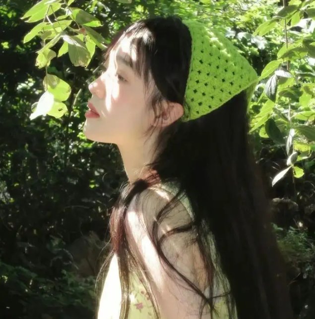 大明天子